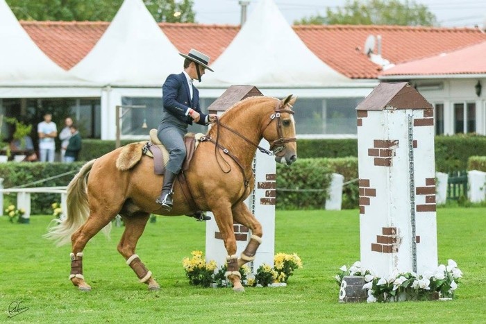 Portuguese National Championship Working Equitation Speed Trail